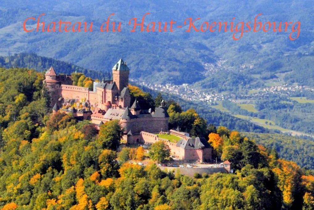New L'Industr'Ill Au Coeur De L'Alsace Apartment Selestat Exterior photo